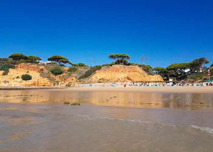 Willa Alexia Albufeira